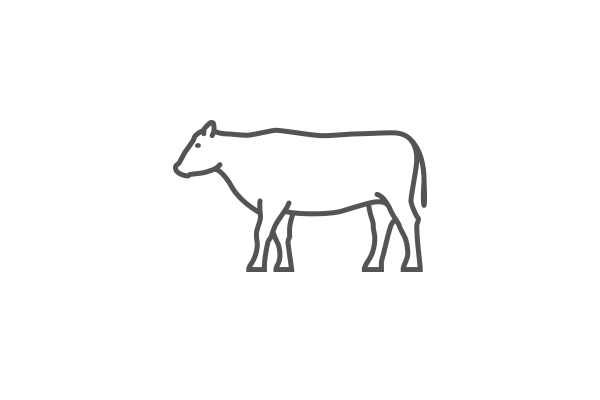 Biodynamic/Organic Beef