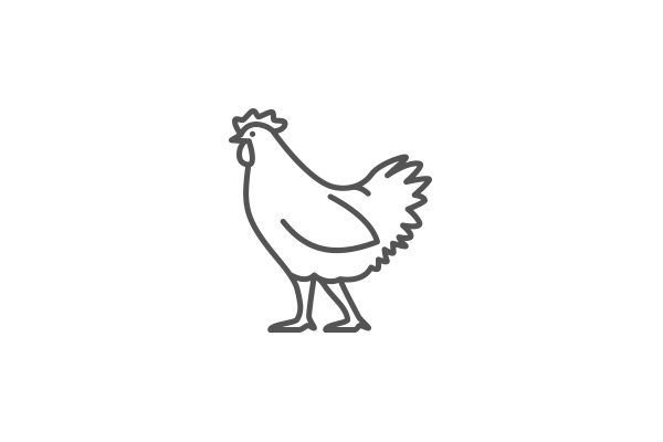 Free Range/Organic Chicken