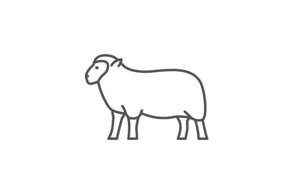 Biodynamic/Organic Lamb