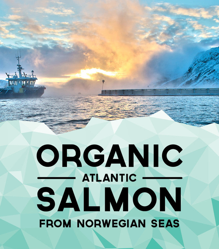 This Fish Organic Atlantic Salmon 280g (2 Portions Per Pack)